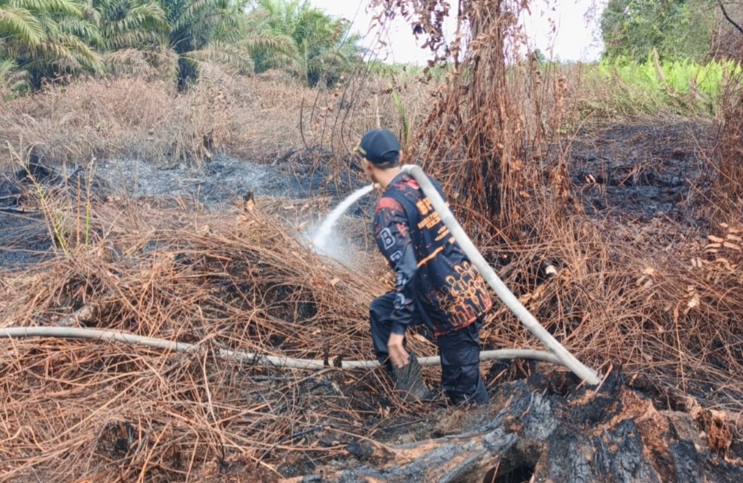 Petugas memadamkan sisa api yang membakar lahan gambut di di Jalan Sudirman Km 19&ndash;20, Kelurahan Pasir Putih, Kecamatan Mentawa Baru Ketapang, Minggu (8/2/2026). (TRC BPBD Kotim)  &nbsp;