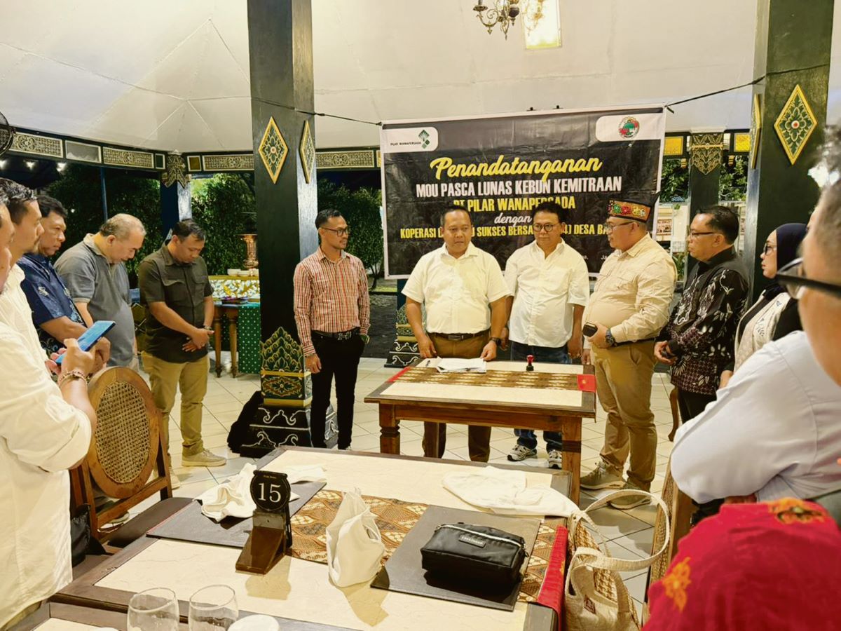 kemitraan koperasi sawit