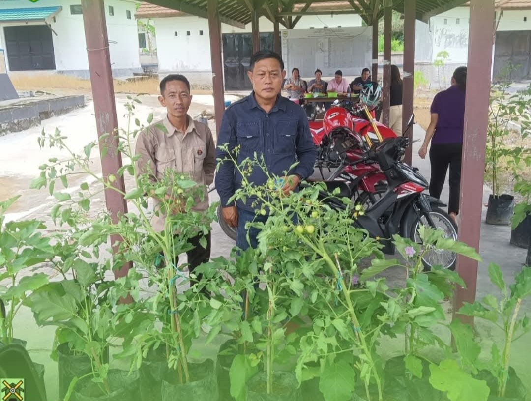Pembagian bibit tanaman hortikultura ke perangkat daerah, belum lama ini.