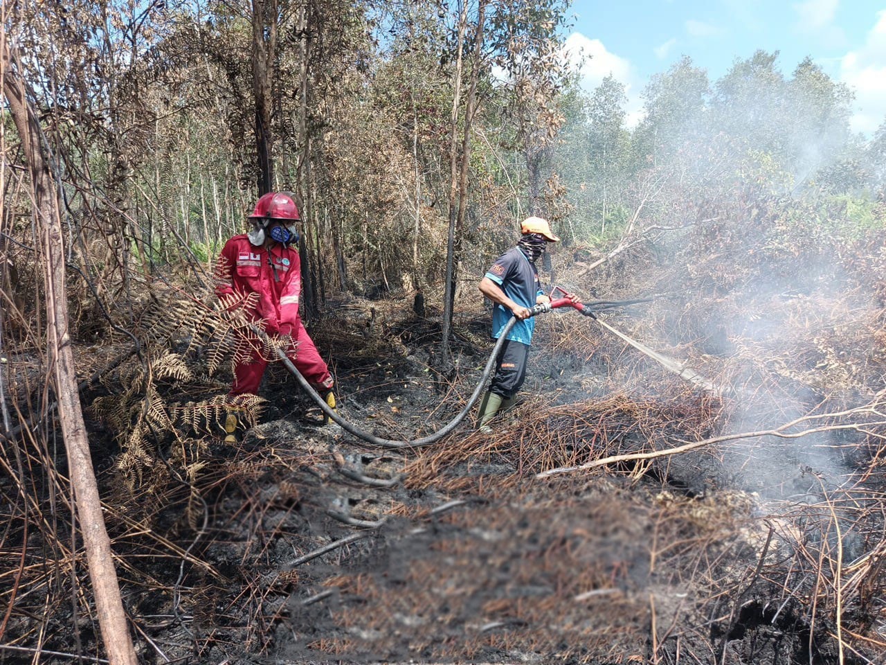 Kebakaran lahan yang terjadi di Kotim belum lama ini.