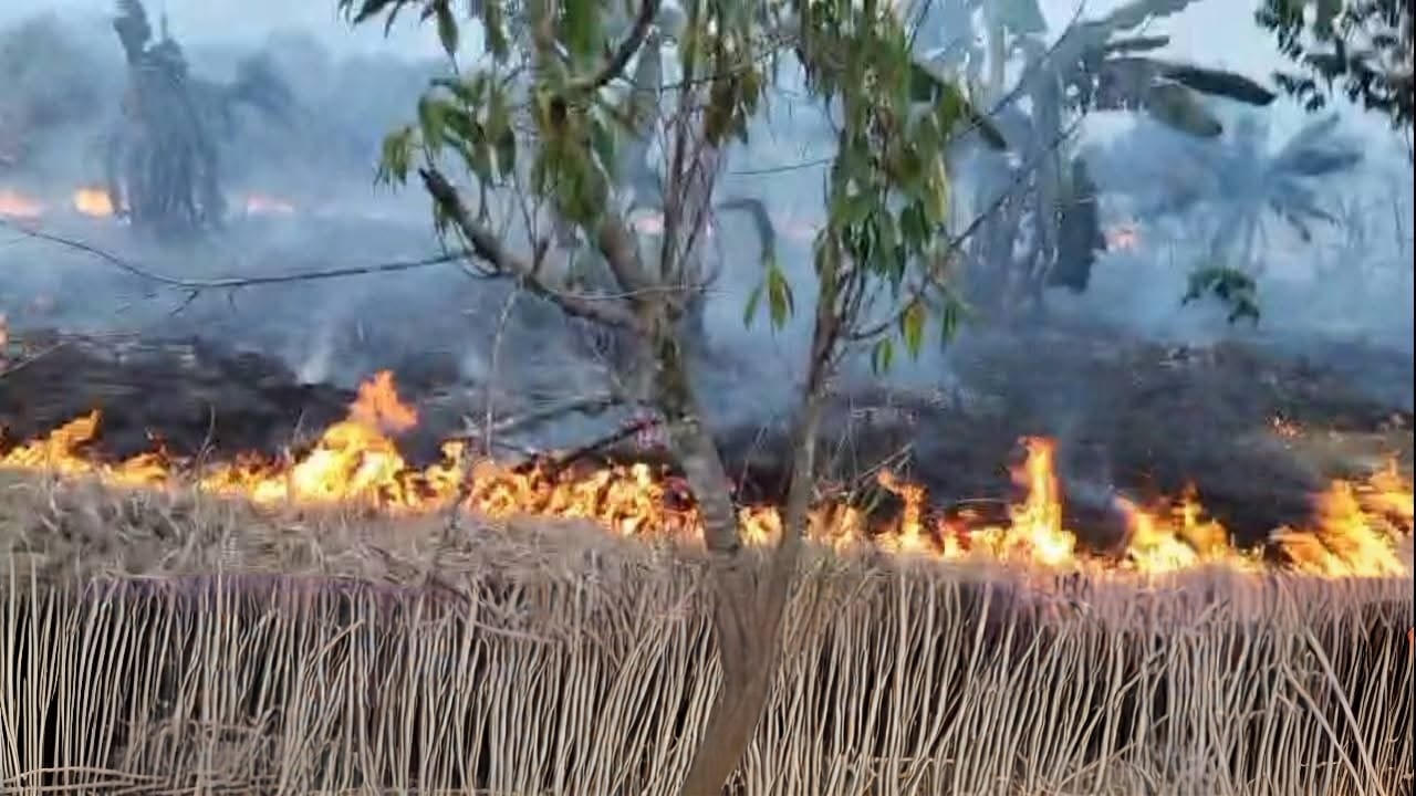 Lahan terbakar di jalan Padat Karya Kelurahan Sidorejo Pangkalan Bun pada Rabu 11 Februari 2026.