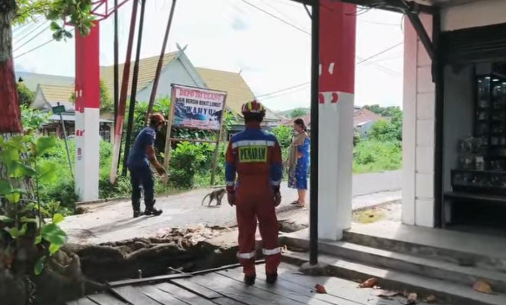 Petugas Disdamkarmat Kotim saat menangkap monyet liar di Kecamatan Mentawa Baru Ketapang. (Disdamkarmat Kotim)