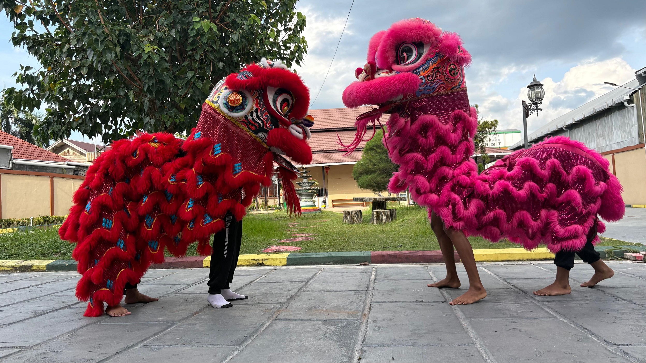 Pemain Barongsai dan Liong di Sampit saat menggelar latihan, menjelang perayaan Imlek 2026