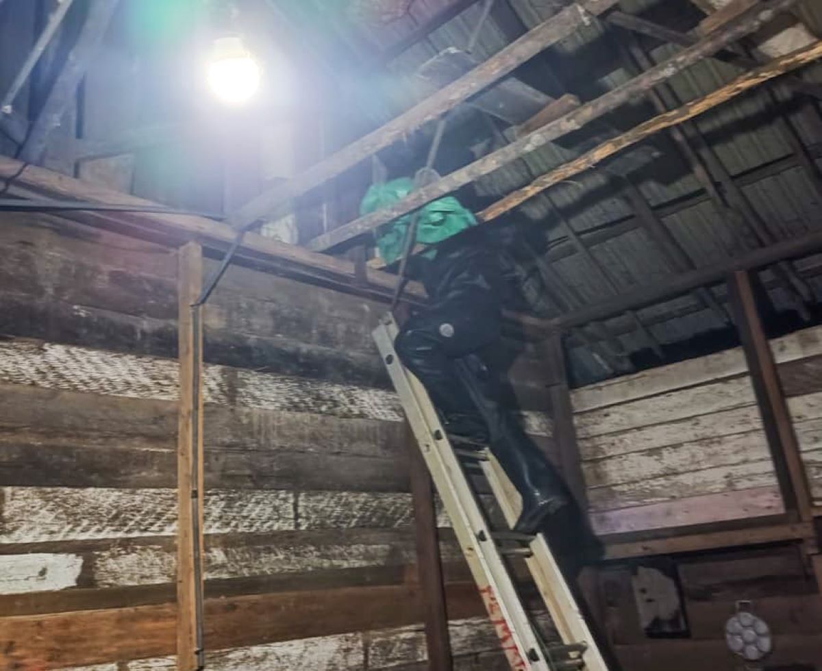 EVAKUASI: Regu 3 DPKP Seruyan evakuasi sarang tawon di rumah warga Kuala Pembuang. FOTO: RIFANI/RADAR SAMPIT