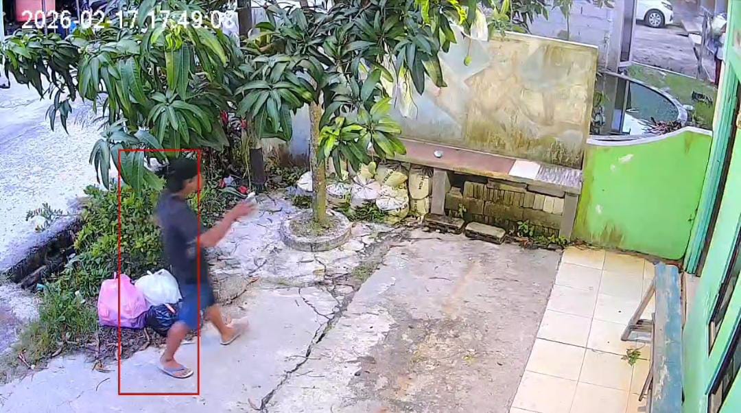 Aksi maling mangga di Jalan Tinjau 4, Kecamatan Baamang, Selasa (17/2/2026).
