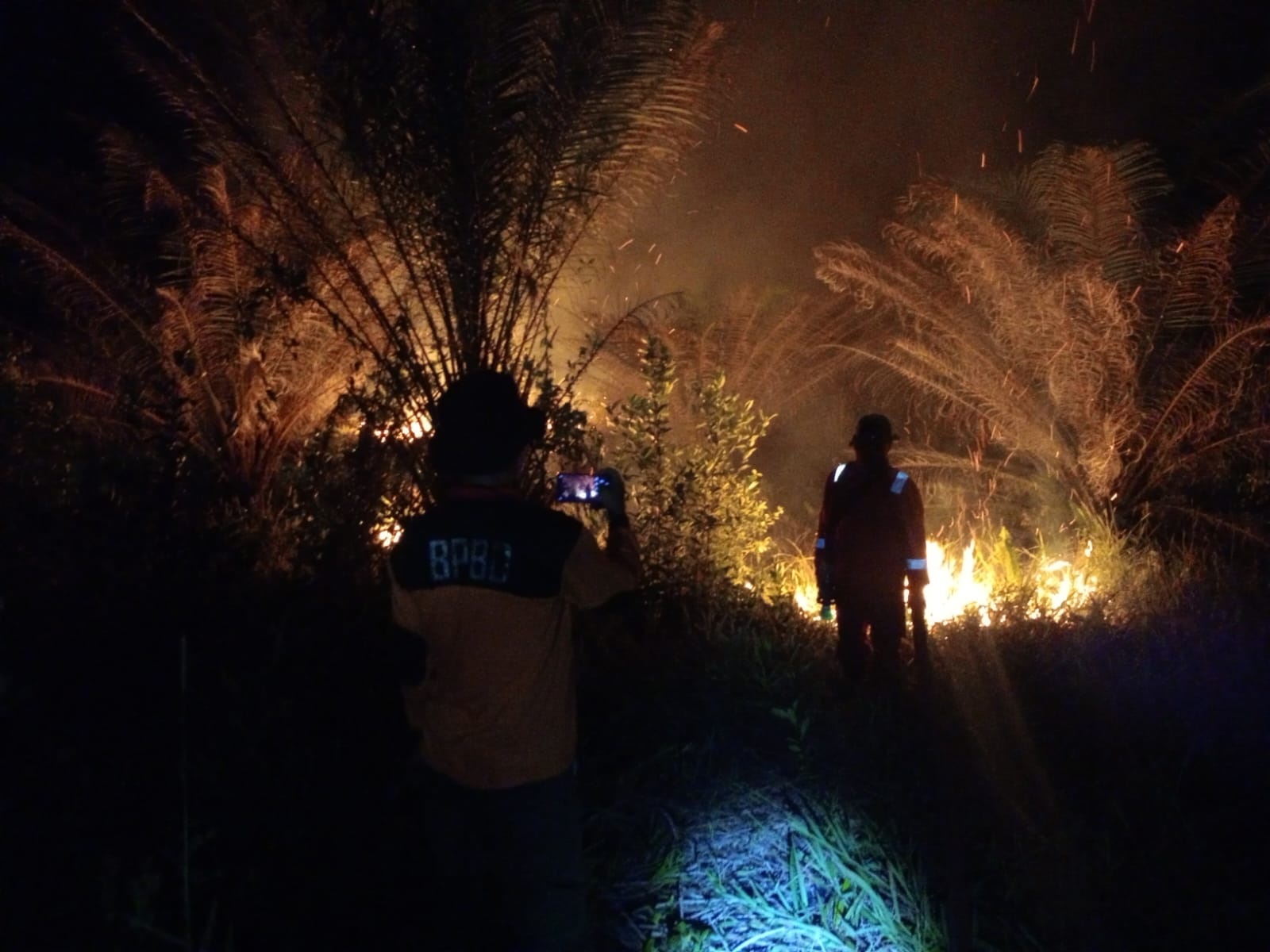 Kebakaran lahan  di Desa Teluk Bogam, Kecamatan Kumai, Kabupaten Kotawaringin Barat, Minggu (15/2).