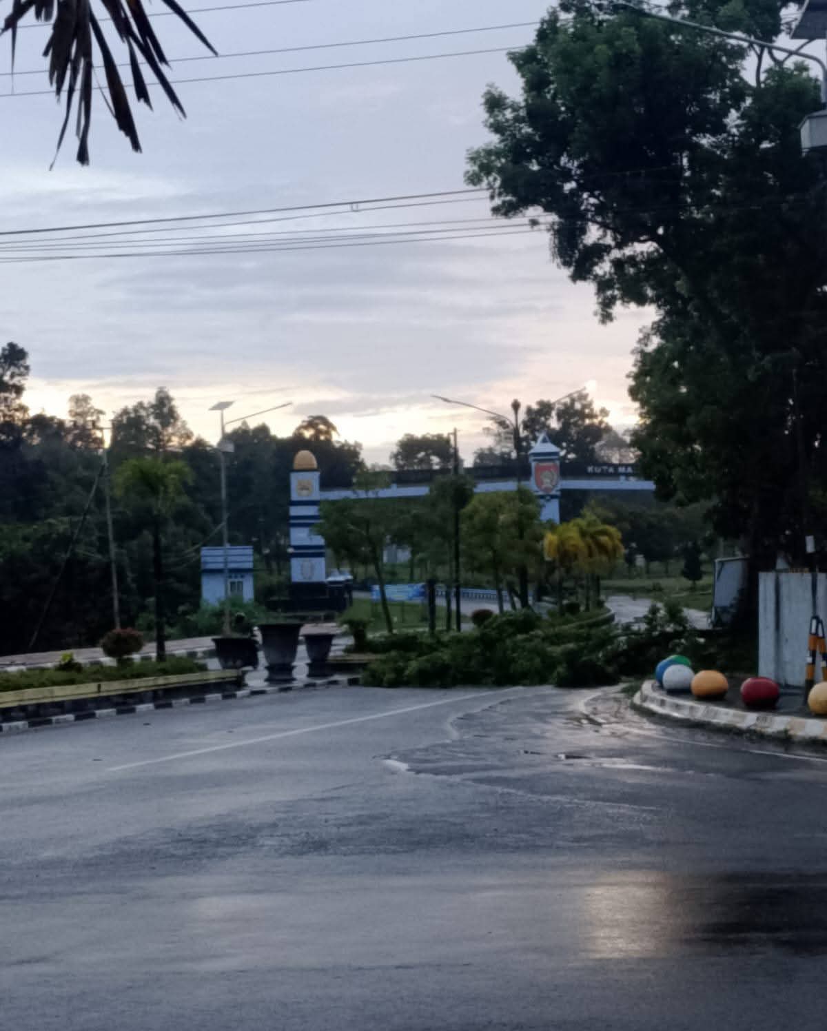 Pohon tumbang di depan gerbang keluar Lanud Iskandar, Pangkalan Bun, Kabupaten Kotawaringin Barat
