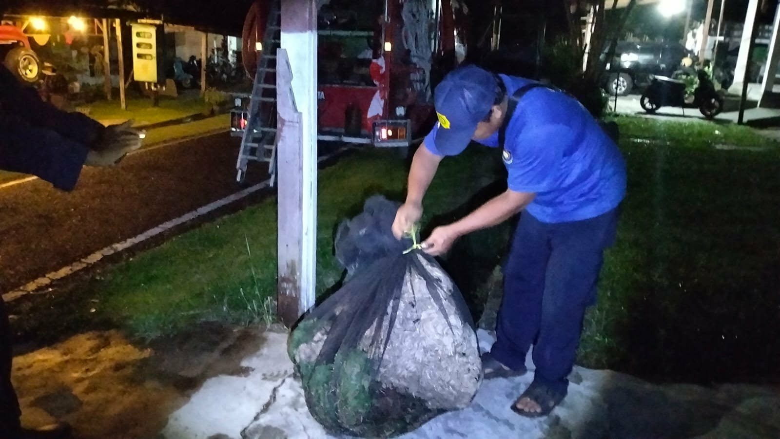 Tim Rescue Dinas Damkar Kota Palangka Raya saat mengevakuasi sarang tawon vespa berukuran besar yang berdekatan dengan pemukiman warga.