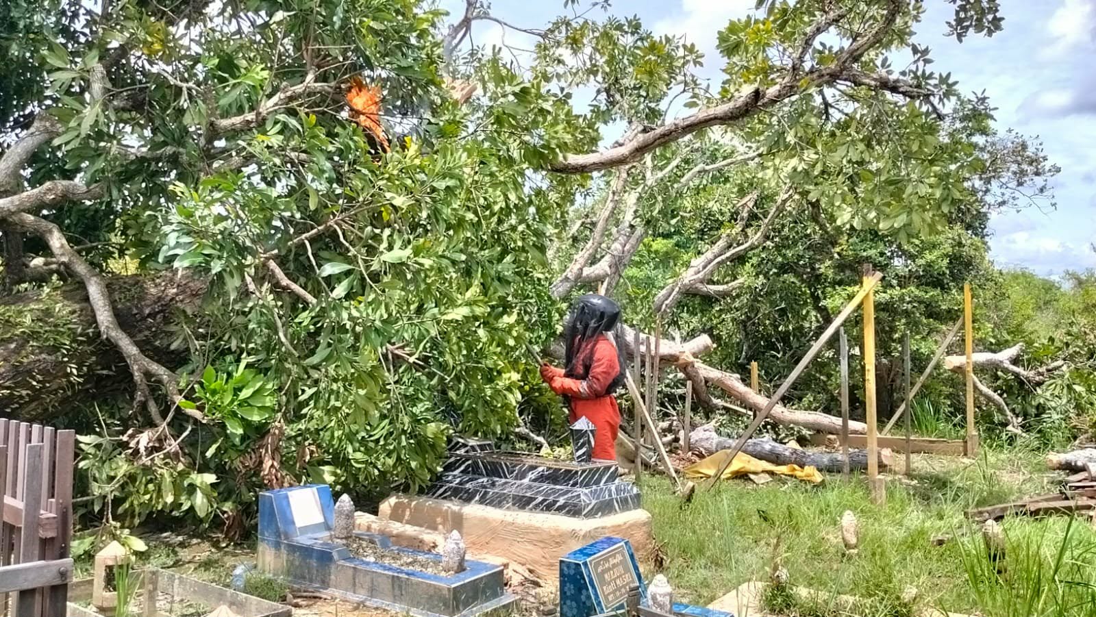 Tim Rescue Dinas Damkar Palangka Raya saat menangani salah satu dari tiga keberadaan sarang tawon vespa di lokasi berbeda, Senin (23/2).