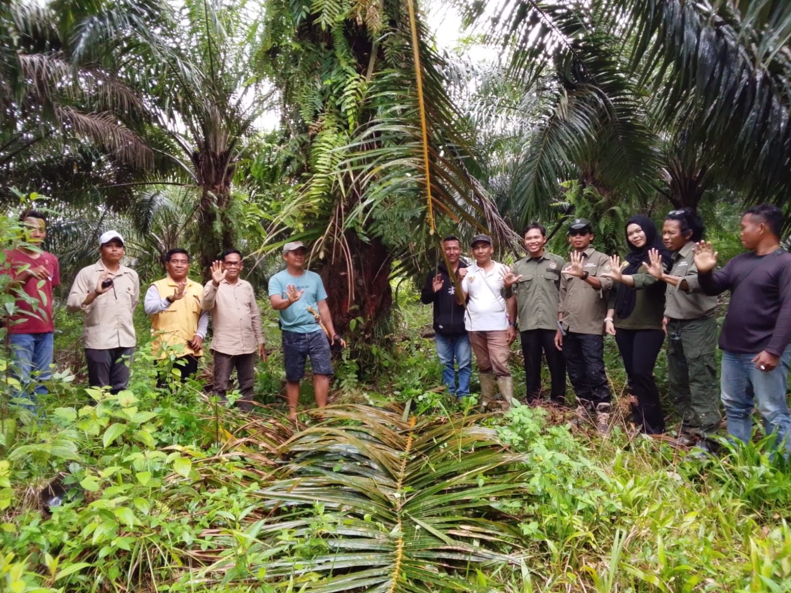 Ploting areal seluas 855 hektare oleh koperasi bersama KPHP dan disaksikan pihak PT Agrinas Palma Nusantara pada tanggal 24 Februari 2026. (suhud untuk radar sampit)