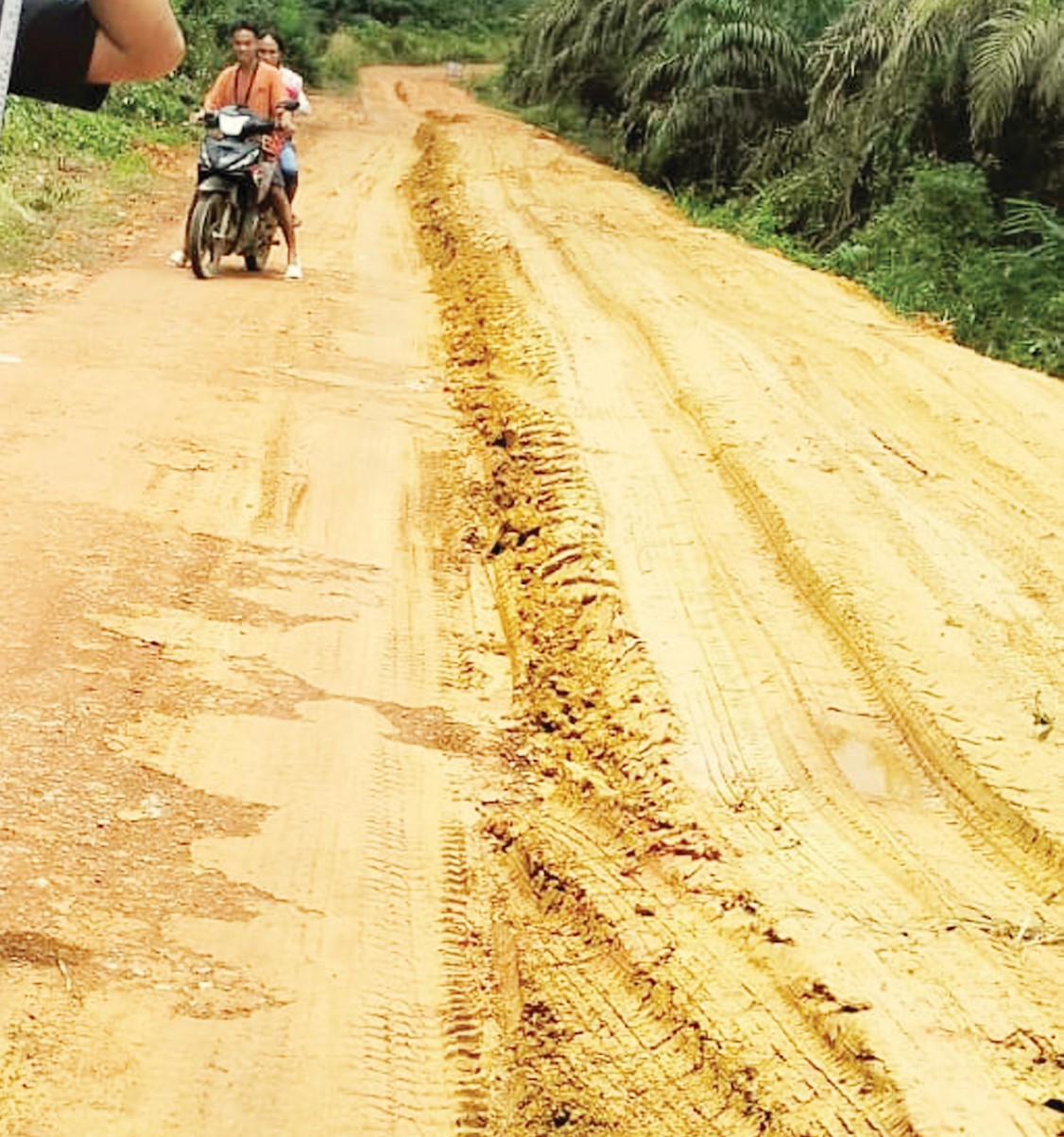 NYAMAN DILEWATI: Jalan poros Kecamatan Tualan Hulu yang sebelum kerap digenangi air kini sudah dilakukan penimbunan melalui program CSR perusahaan kelapa sawit. 