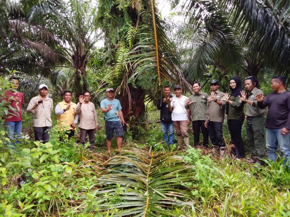 Proses ploting areal seluas 855 hektare oleh koperasi bersama KPHP yang disaksikan pihak PT Agrinas Palma Nusantara, Selasa (24/2).  