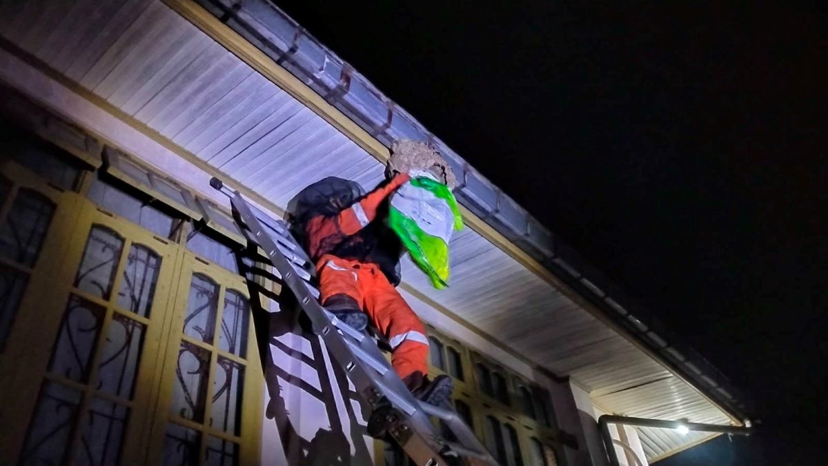 PENANGANAN : Tim Rescue Dinas Pemadam Kebakaran (Damkar) Kota Palangka Raya mengevakuasi sarang lebah dan tawon vespa. 