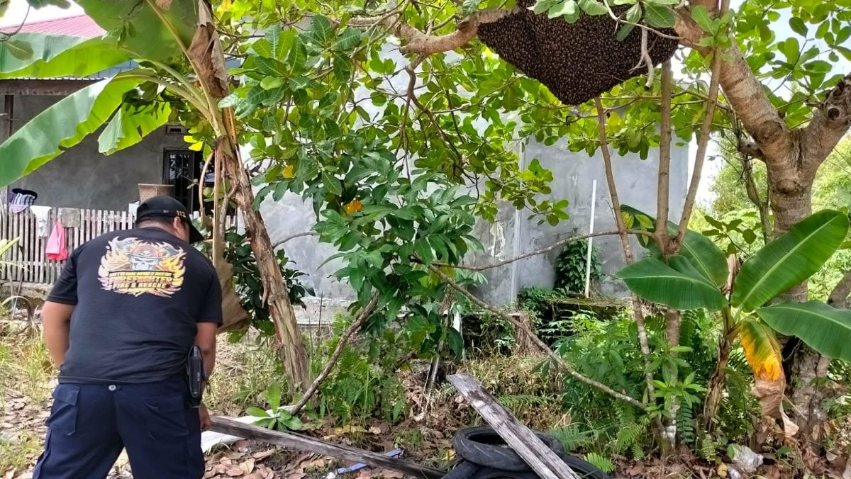 tim rescue bersiap evakusi sarang tawon vespa