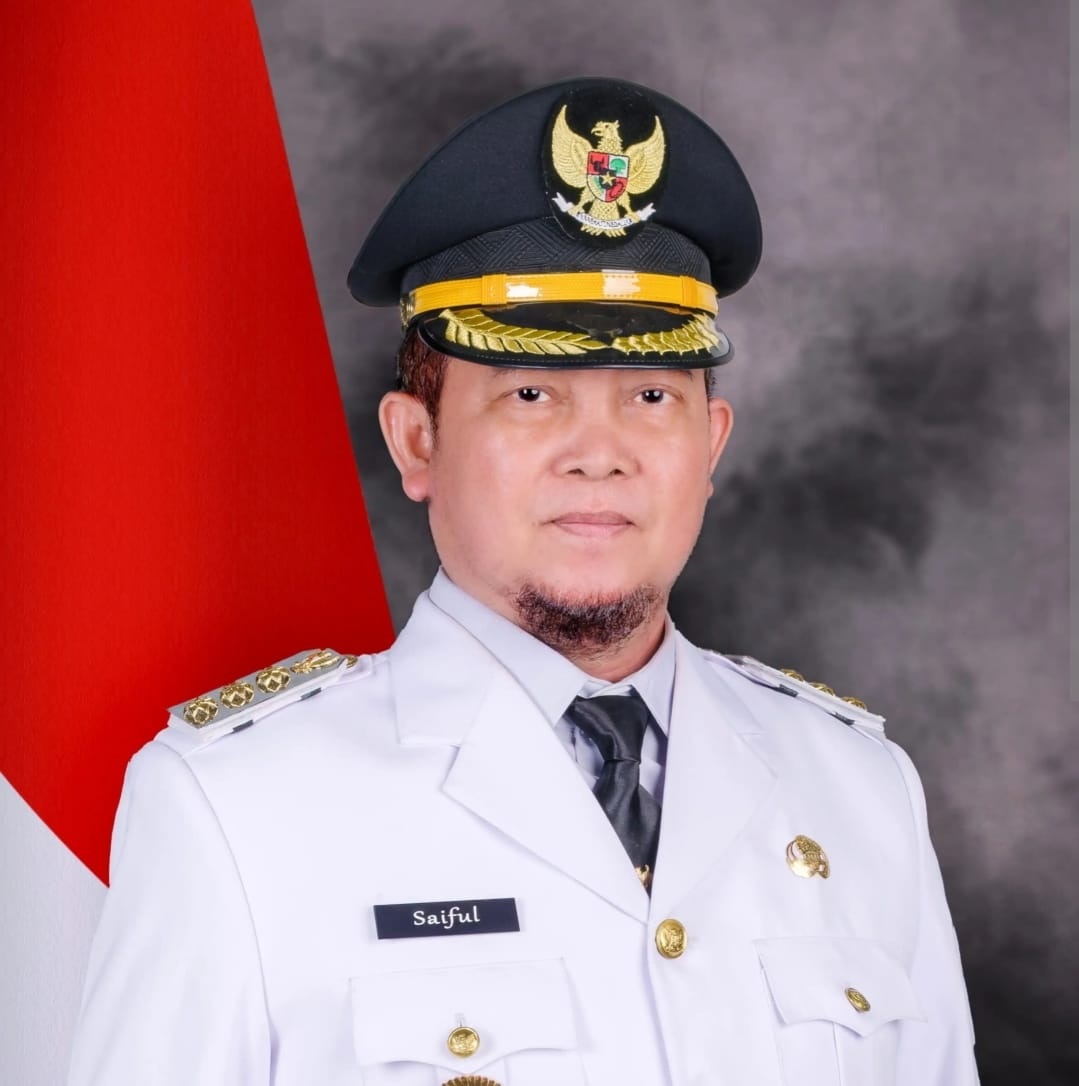 Bupati Katingan, Saiful