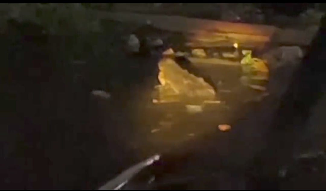 Kemunculan buaya besar di perairan Sungai Mentaya di Jalan Iskandar 30, dekat Pelabuhan H Ali Sampit, Selasa subuh (3/3/2026).
