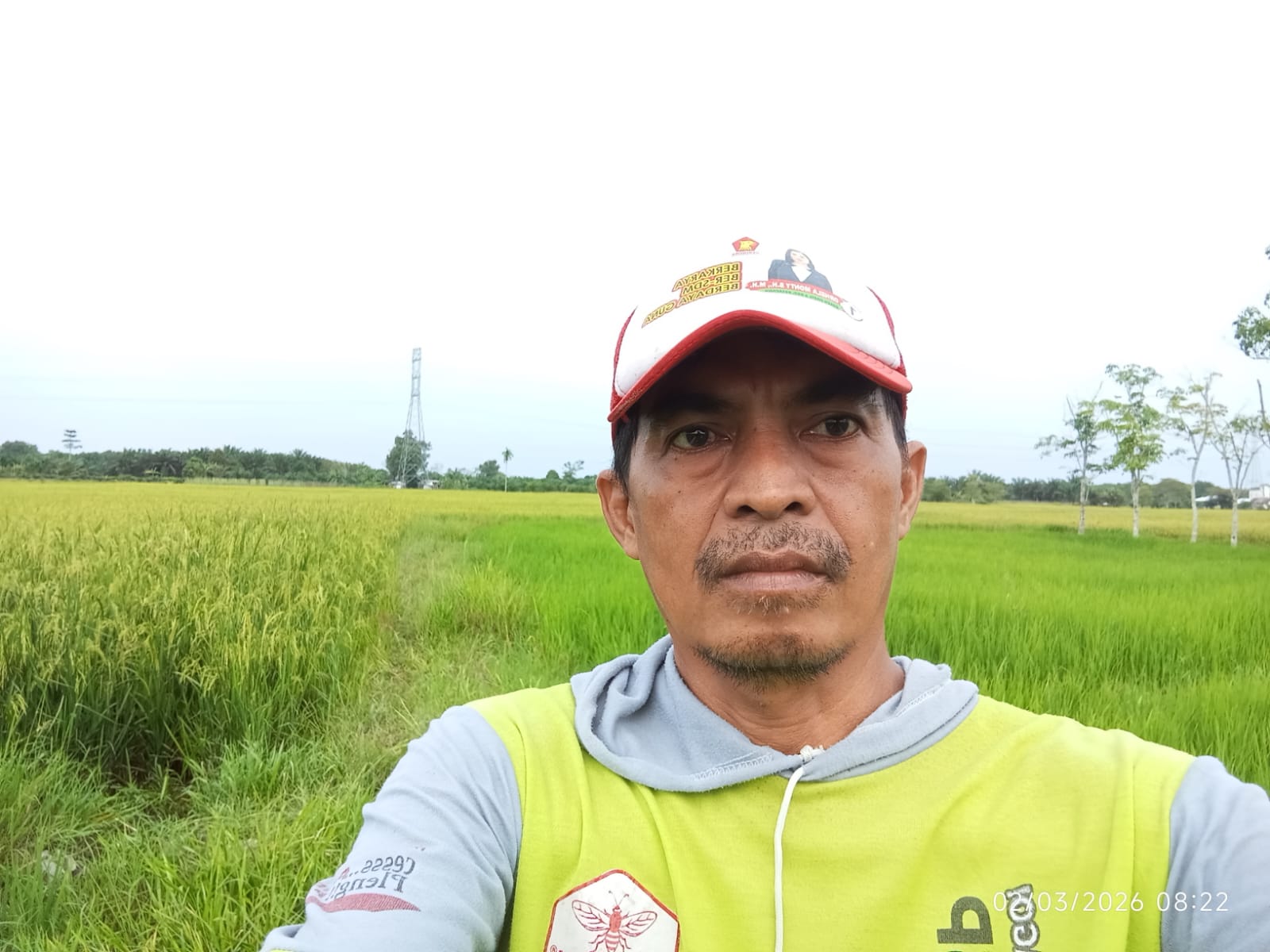 Rahman, petani padi di Desa Bapeang