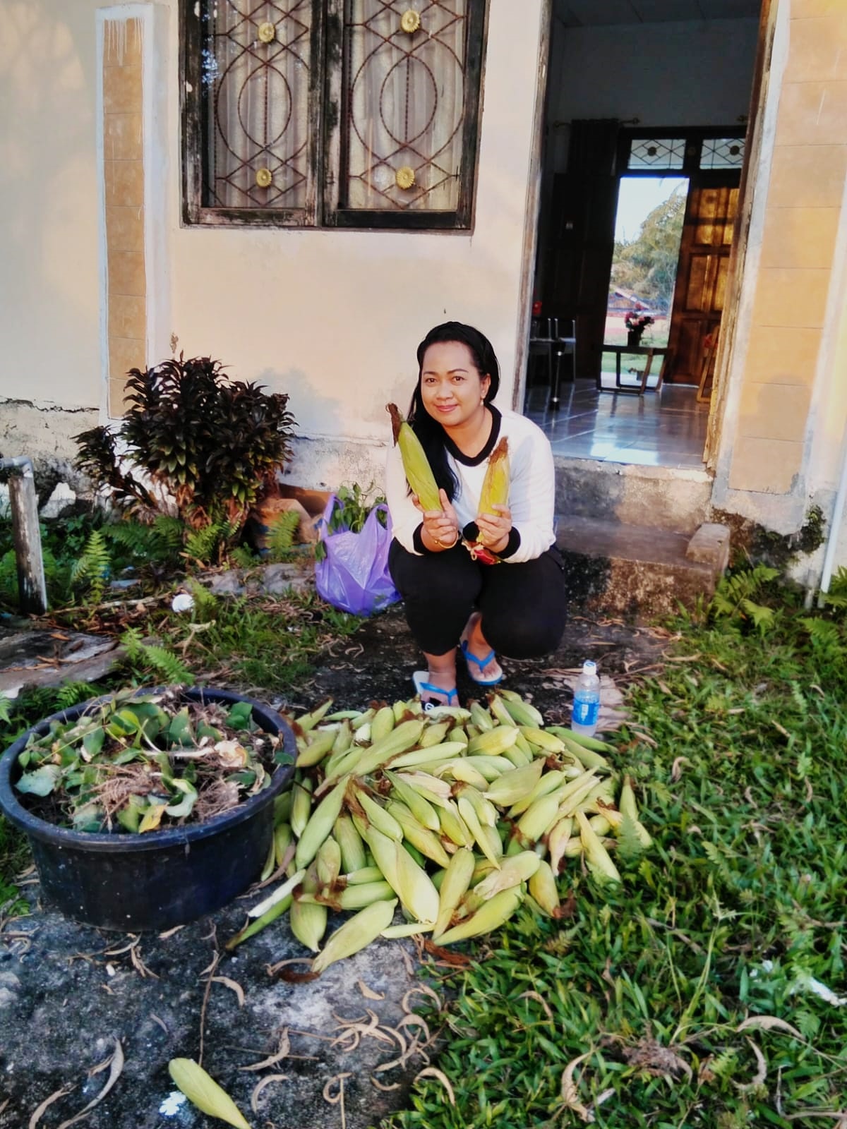 Lurah Tumbang Talaken Gusti Ray Novandha menunjukkan hasil panen jagung dari kebun TP PKK kelurahan di Kelurahan Tumbang Talaken, Kecamatan Manuhing, Gunung Mas