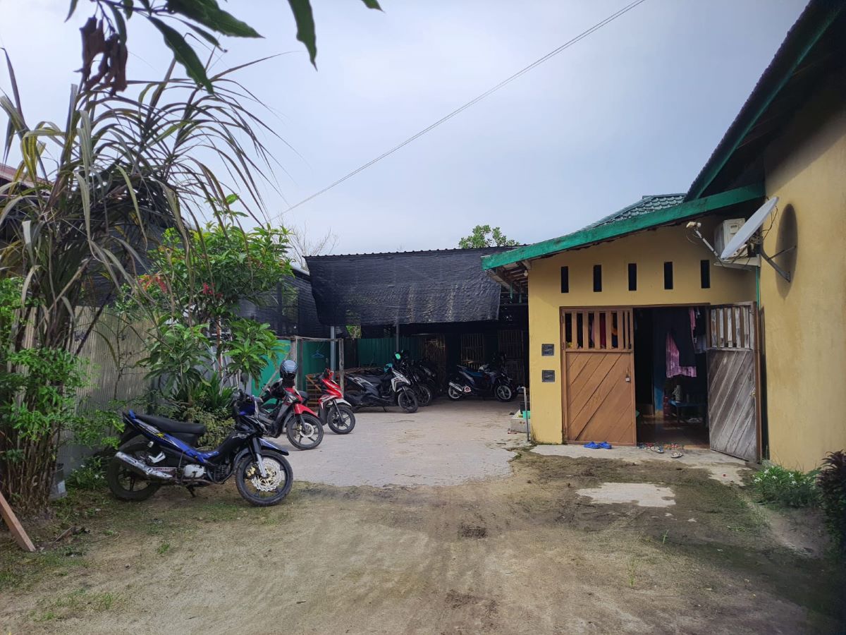 SABUNG AYAM: Di samping rumah warga Gang Sukajadi, MB Ketapang, Sampit ini disulap menjadi arena sabu ayam dan tetap beroperasi di bulan Ramadan. 