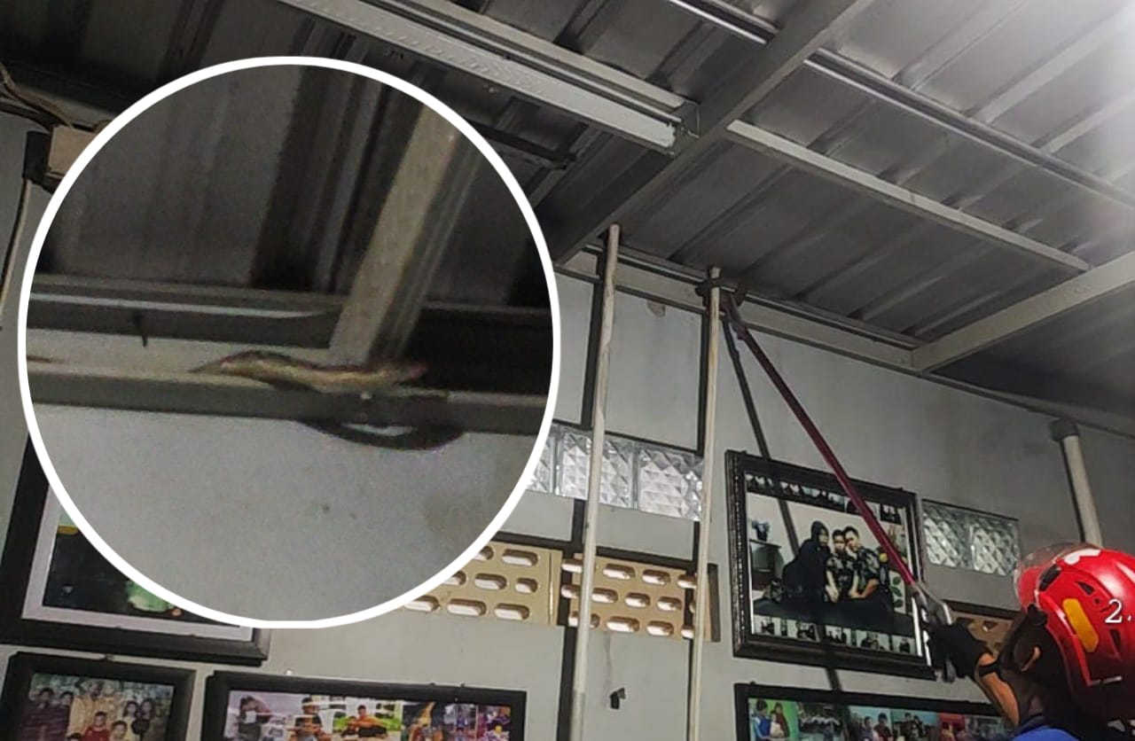 Petugas Disdamkarmat Kotim saat mengevakuasi dapur rumah warga di Jalan Tidar Baru Jalur 8, Jumat dini hari (6/3/2026). (Disdamkarmat Kotim)   