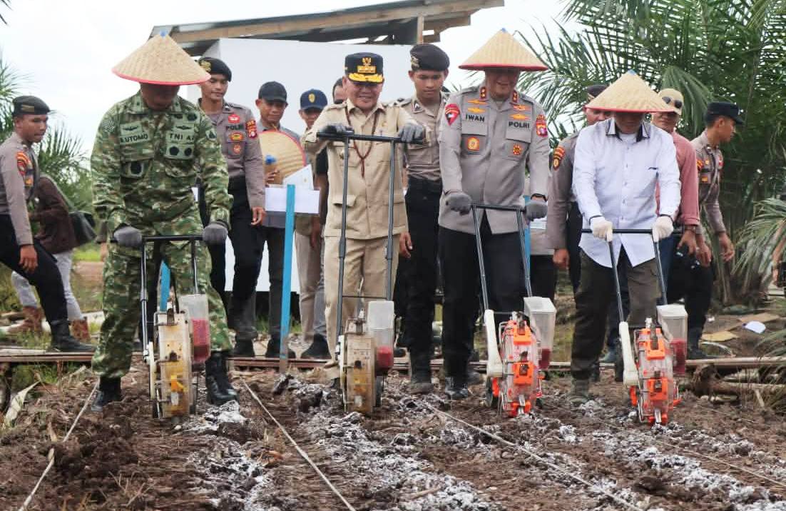 Gubernur Kalteng Agustiar Sabran, Kapolda Kalteng Irjen Pol Iwan Kurniawan, unsur TNI dan forkopimda Kalteng, saat penanaman jagung serentak Se Indonesia, (7/3), diPulang Pisau.