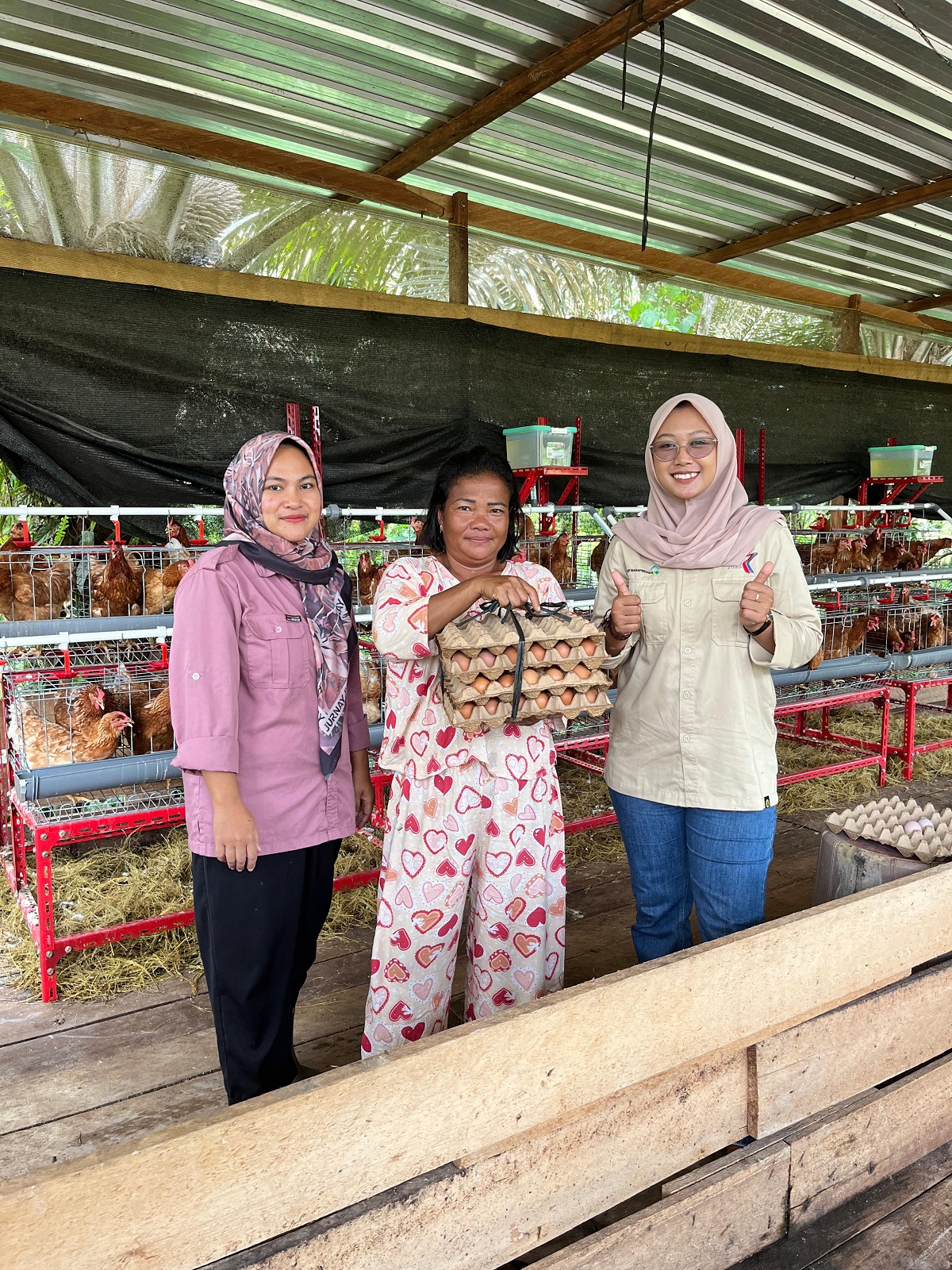 PT Pilar Wanapersada mendorong pemberdayaan ekonomi masyarakat melalui program budidaya ayam petelur.  