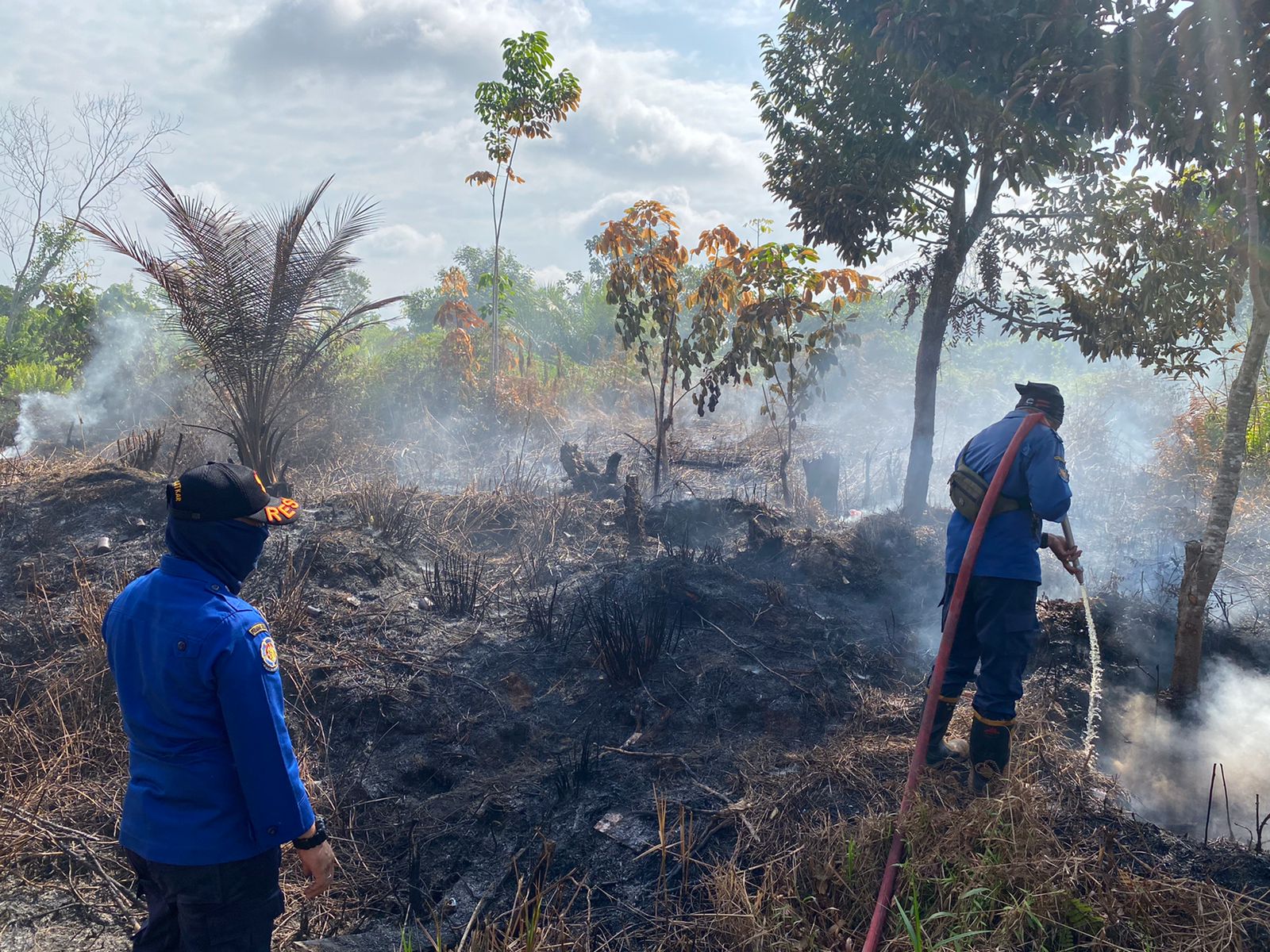 Kebakaran lahan di Jalan Metro TV, Kecamatan Mentawa Baru Ketapang, Minggu pagi (15/3/2026). (Disdamkarmat Kotim).