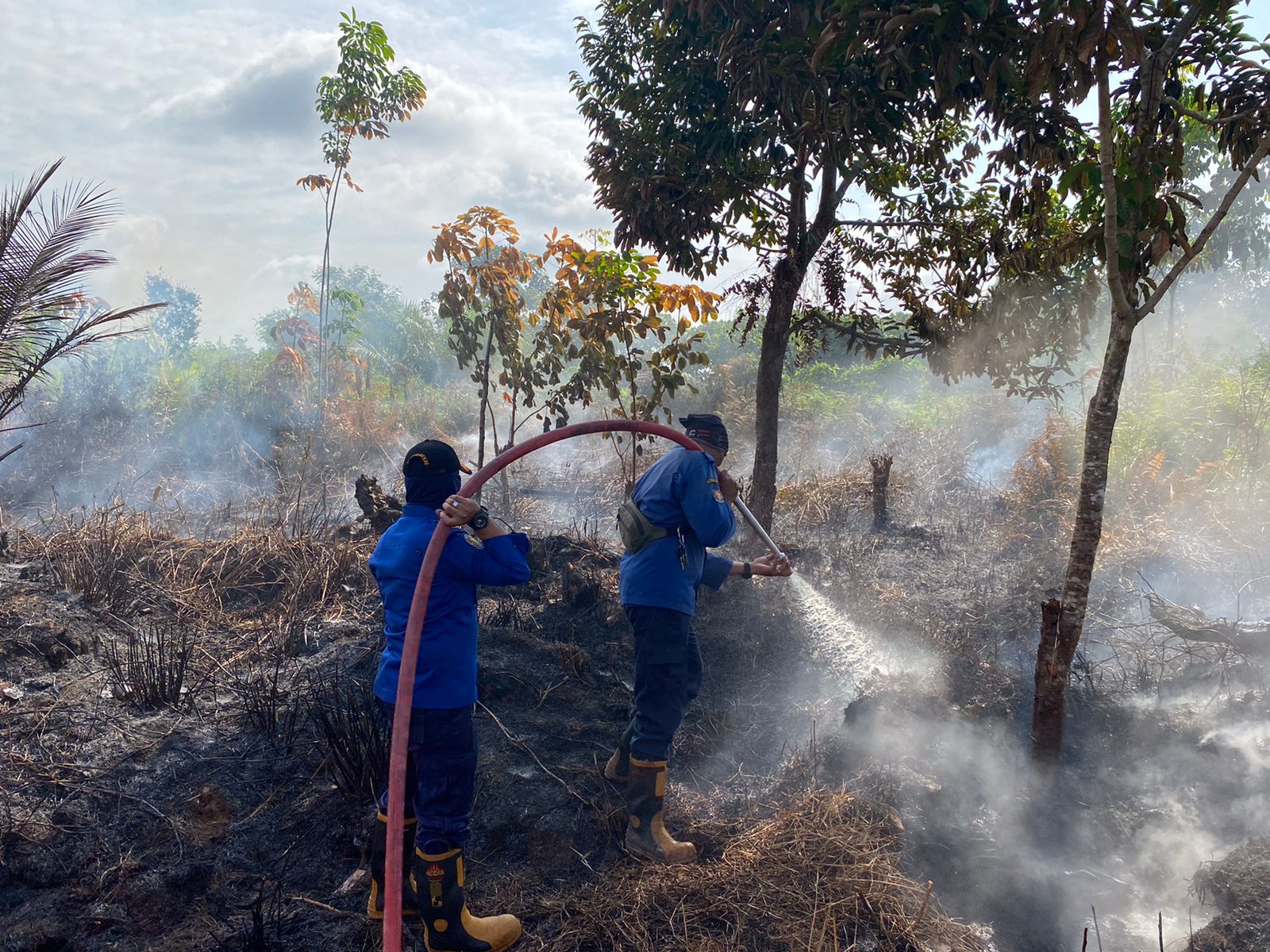 Petugas Disdamkarmat Kotim saat memadamkan api yang membakar lahan kosong di Jalan Metro TV Sampit,Kecamatan Mentawa Baru Ketapang, Minggu pagi (15/3/2026). (Disdamkarmat Kotim)
