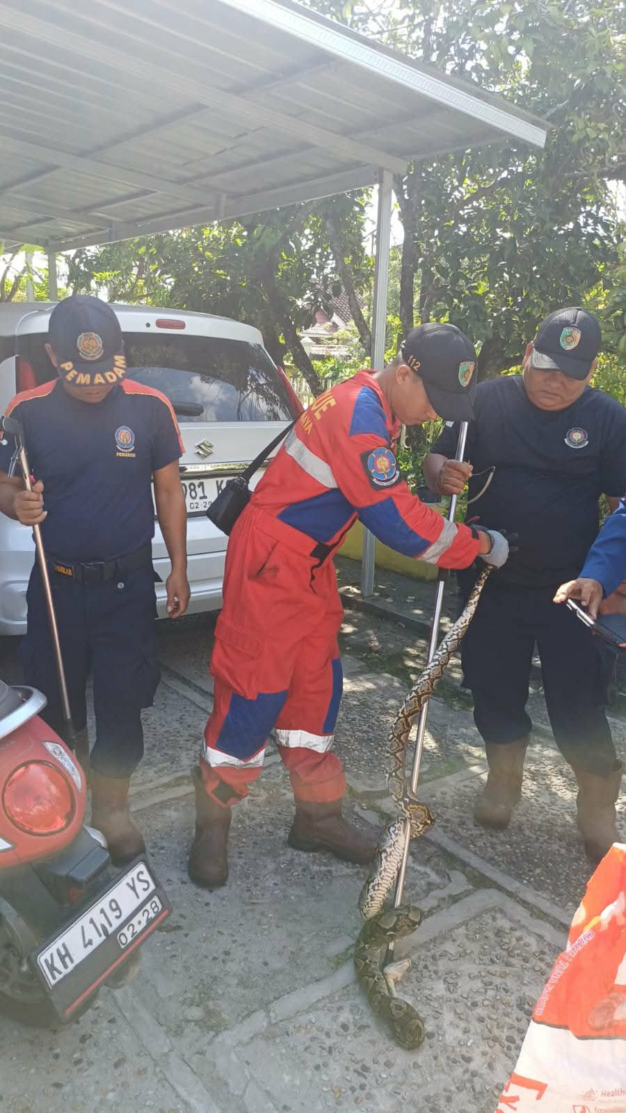 Tim Rescue Damkar Kota Palangka Raya saat penanganan seekor ular piton salah satu rumah warga di Jalan Anggrek I, setelah ditemukan bersembunyi di dalam gudang.