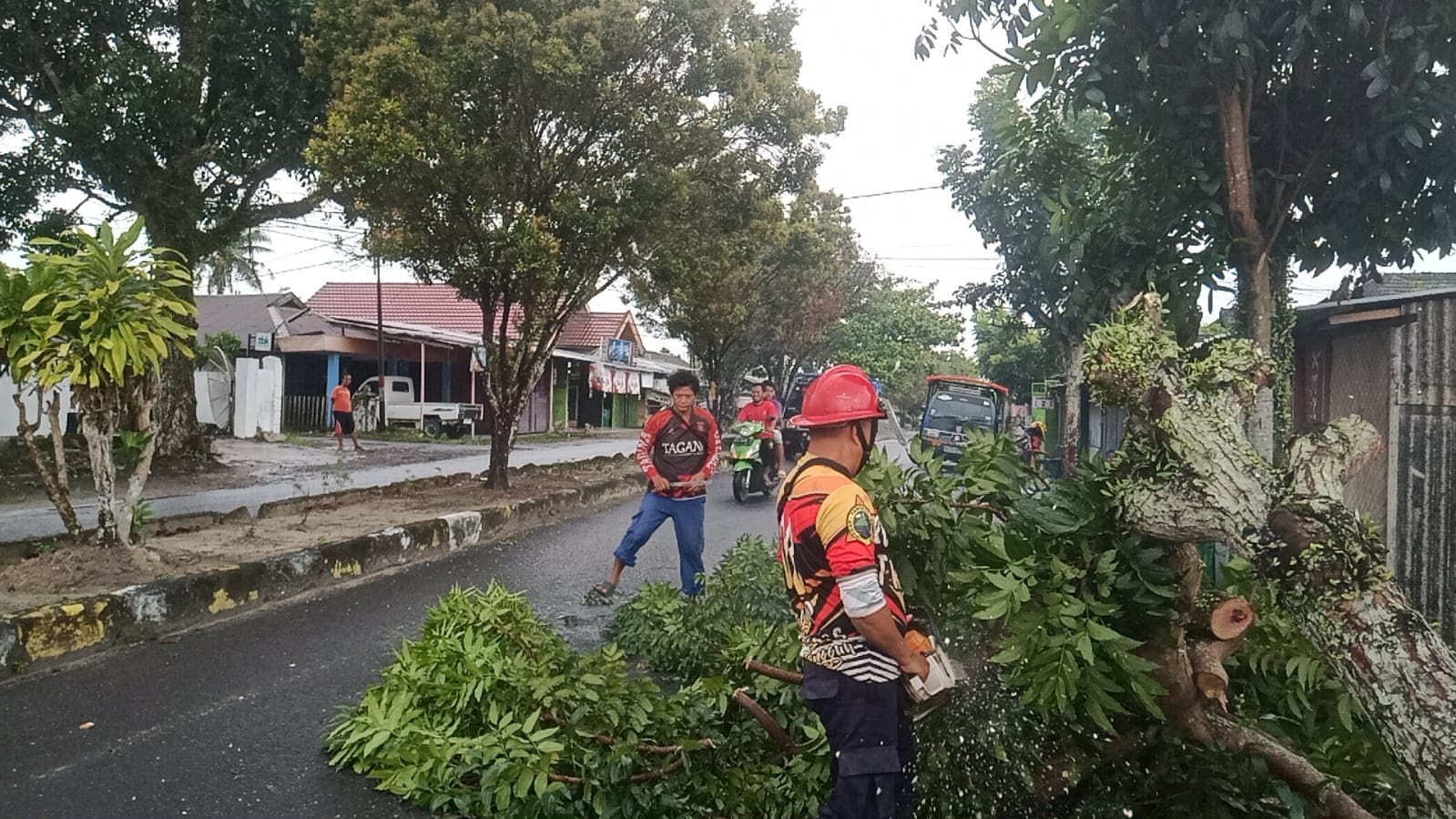 Penanganan pohon tumbang oleh TRC BPBD Kobar di Jalan Delima, Kelurahan Madurejo, Kecamatan Arsel, Kabupaten Kobar, belum lama ini.    