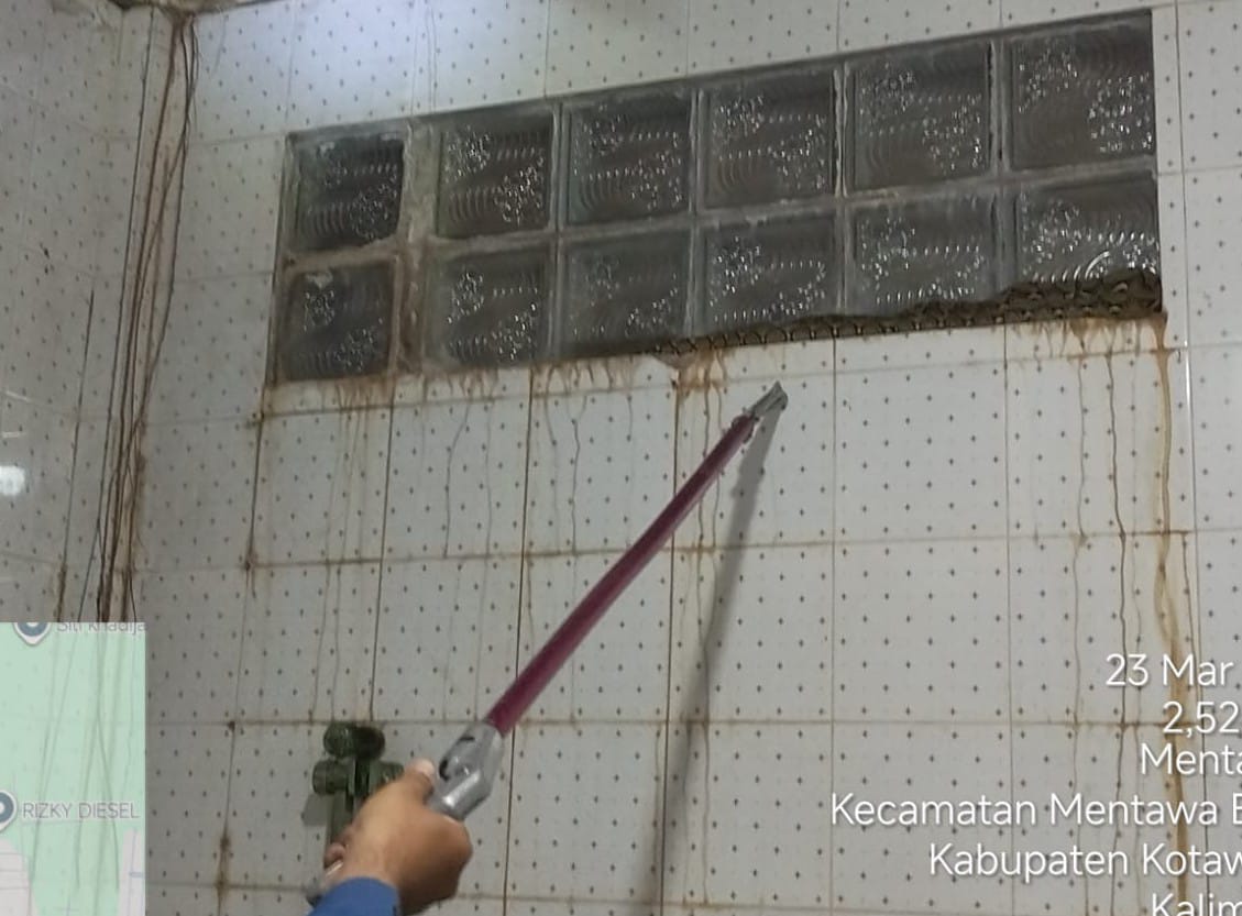 Ular Sanca ditemukan di kamar mandi warga sampit
