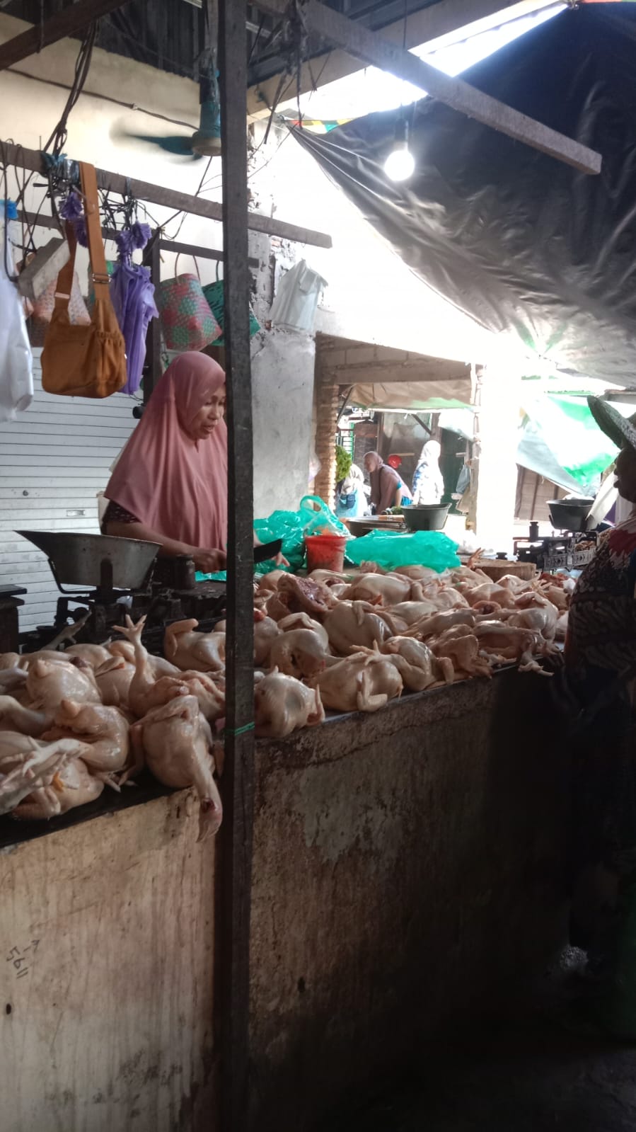 Salah satu pedagang penjual ayam potong di Pasar Keramat, Sampit, baru-baru tadi.