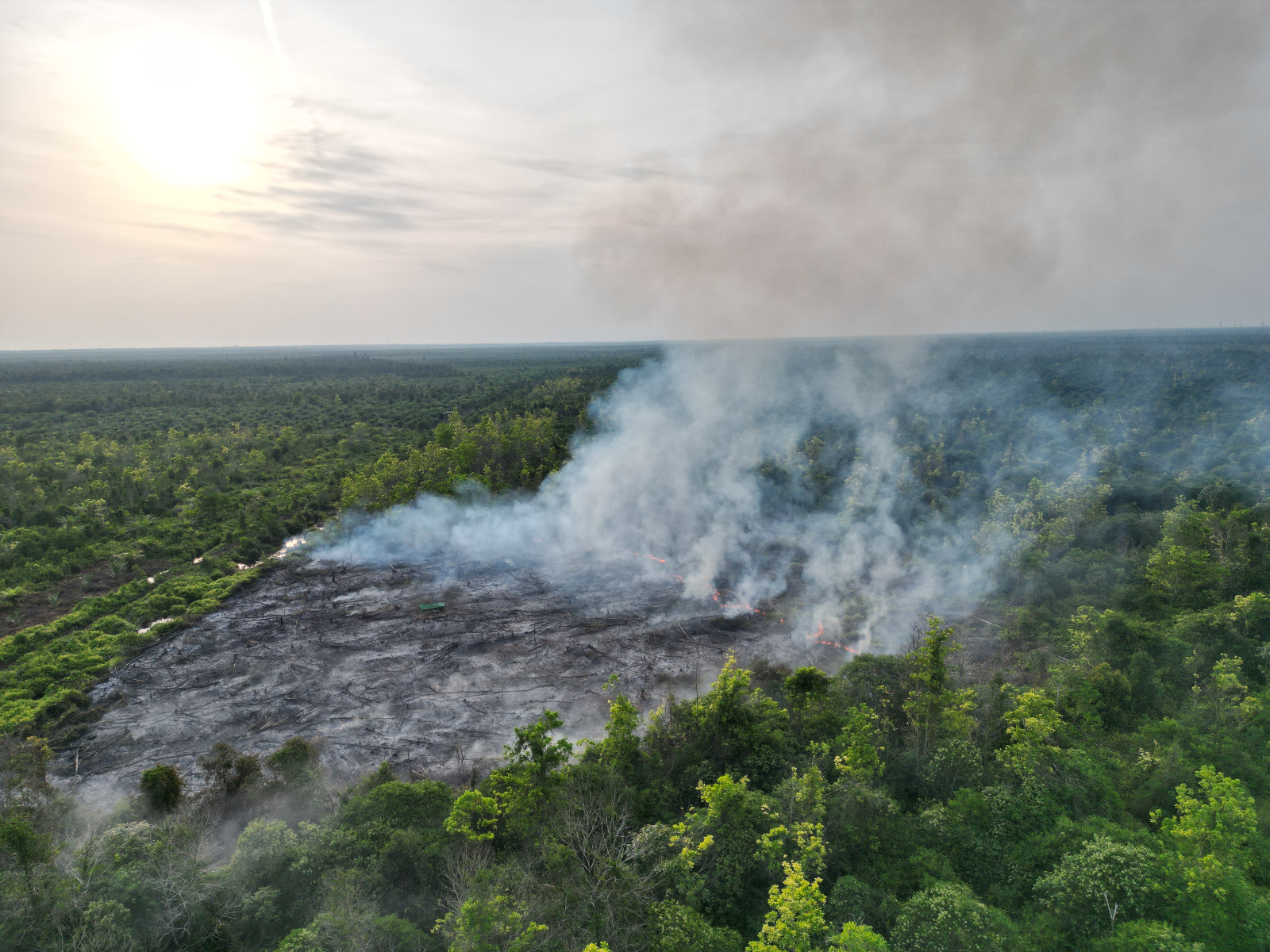 Kebakaran lahan kosong seluas kurang lebih 5 hektare di wilayah Desa Bengkuang Makmur, Kecamatan Mentawa Baru Ketapang, Rabu (25/3 /2026). (BPBD Kotim)