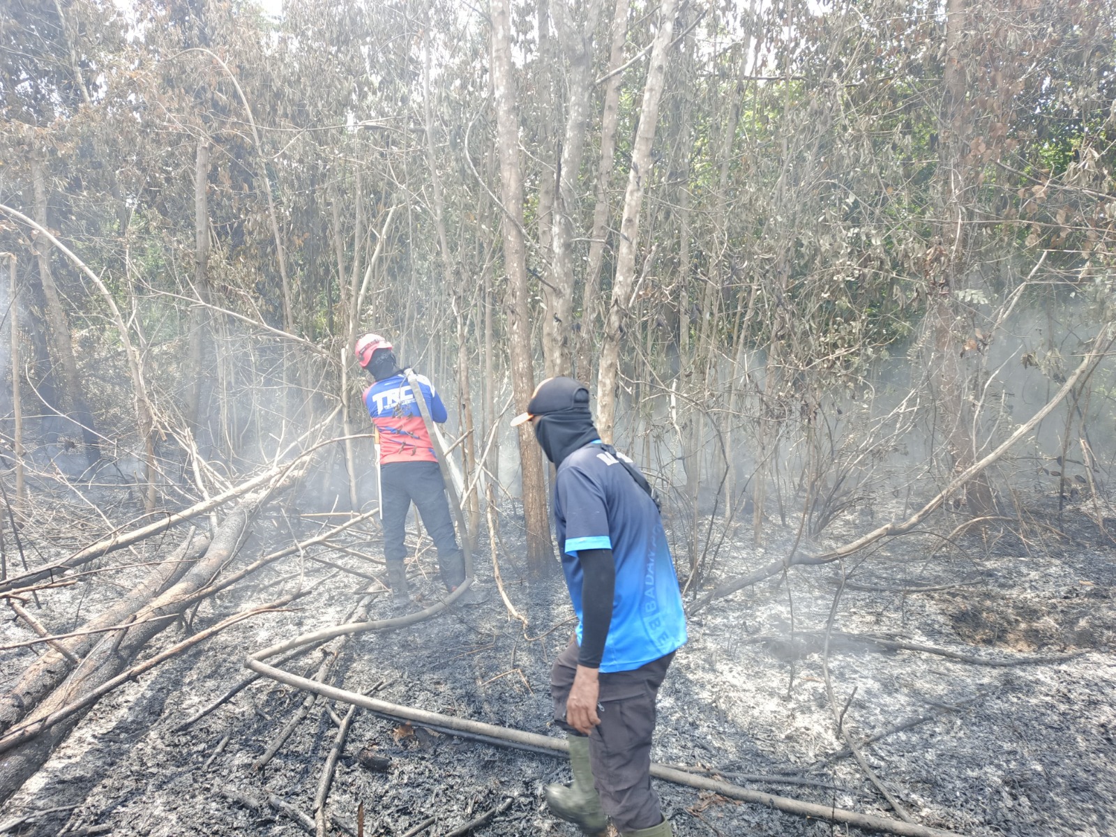 Petugas gabungan berupaya memadamkan api yang menjalar hingga ke dalam tanah gambut di Desa Bengkuang Makmur, Kecamatan Mentawa Baru Ketapang, Kamis (26/3/2026). (BPBD Kotim)