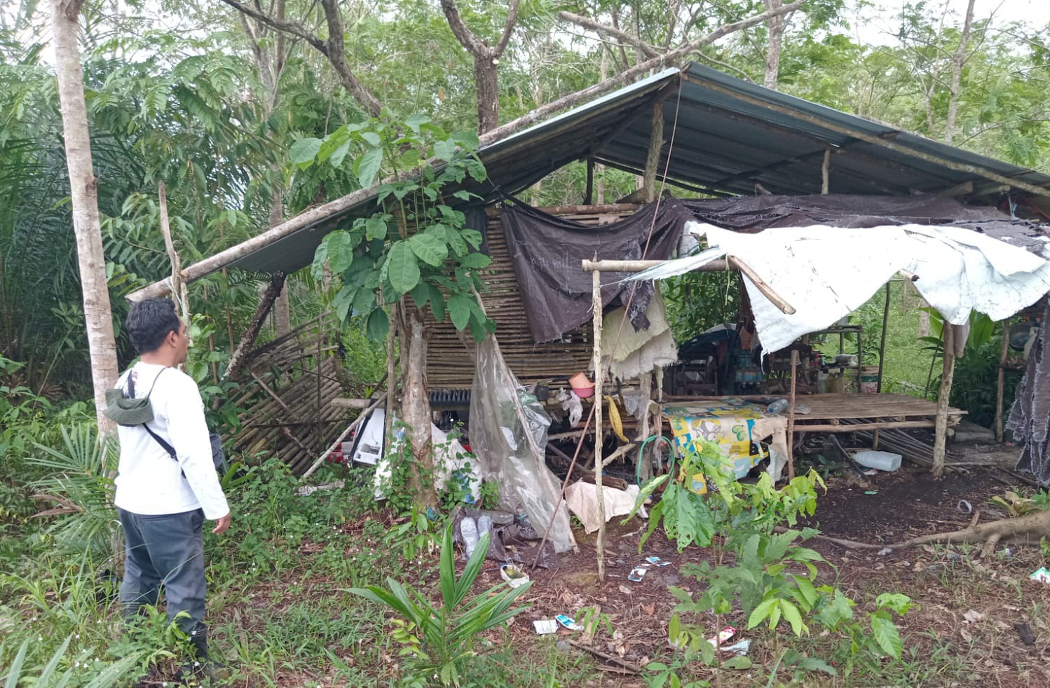 Pondok warga di sekitar lokasi kemunculan beruang di wilayah Simpang Kandan, Kecamatan Kota Besi. (BKSDA Resort Sampit)