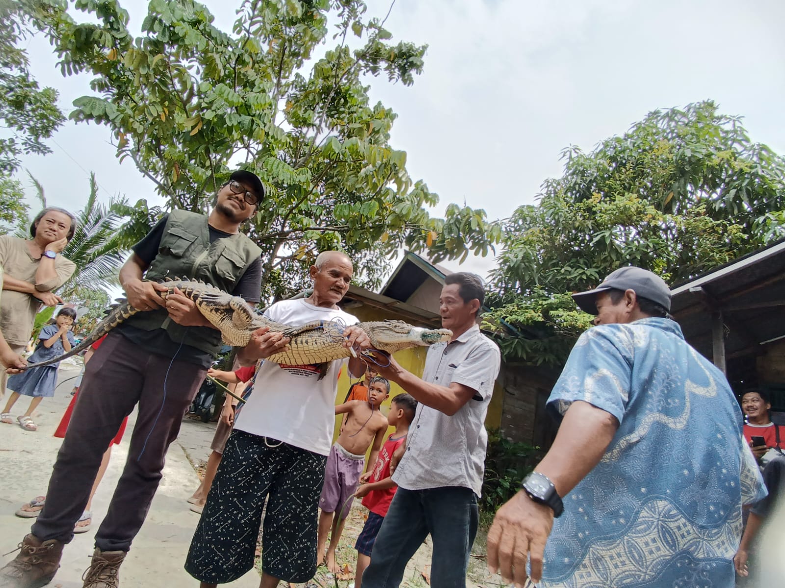 Marliansyah (kaus putih) bersama Aktivis Pecinta Satwa Liar Harry Siswanto, mengangkat buaya, sebelum diamankan dari lokasi di Jalan Iskandar 25 Sampit, Jumat (27/3). (Usay Nor Rahmad/Radar Sampit)