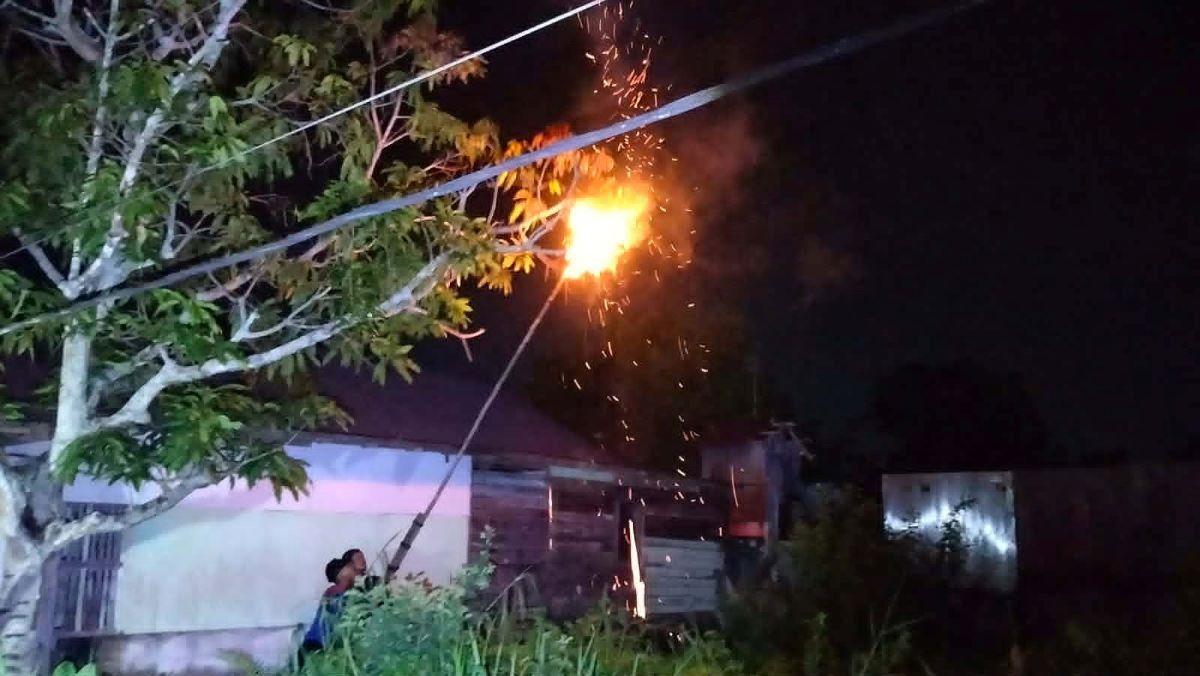 DIBAKAR: Tim Rescue Damkar Kota Palangka Raya memusnahkan sarang tawon vespa, kamis (26/3/2026) malam. 