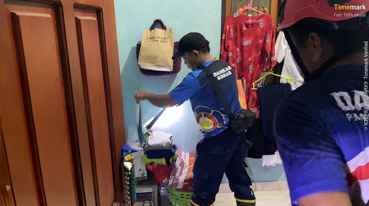 Petugas Animal rescue Damkar Kobar saat menangkap ular jenis sawo kopi dari rumah warga di Perumahan Marundau, Jalan Ahmad Yani, Gang Rusa, Kelurahan Baru, Pangkalan Bun, Jumat (27/3).