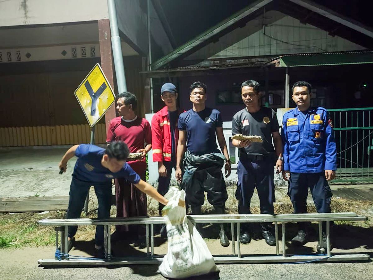 TAWON: Damkar Seruyan evakuasi sarang tawon di atap rumah warga Kuala Pembuang, Rabu (25/3/2026) malam. FOTO: IST/RADAR SAMPIT