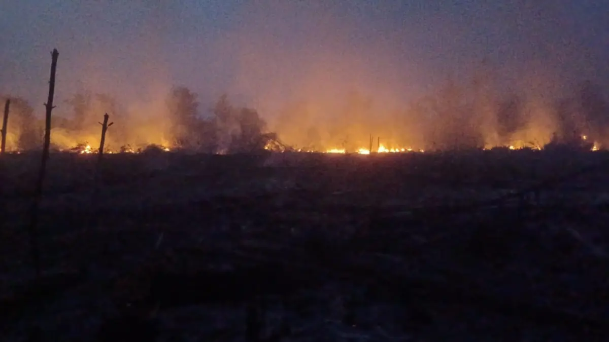 Kebakaran lahan yang terjadi di Desa Bengkuang Makmur, Kecamatan Mentawa Baru Ketapang, yang berlangsung hingga malam hari, baru-baru ini.