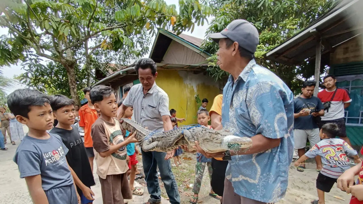 Warga Jalan Iskandar 25, Kecamatan Mentawa Baru Ketapang, saat menggendong buaya yang sebelumnya terjaring jala ikan. (Usay Nor Rahmad /Radar Sampit)