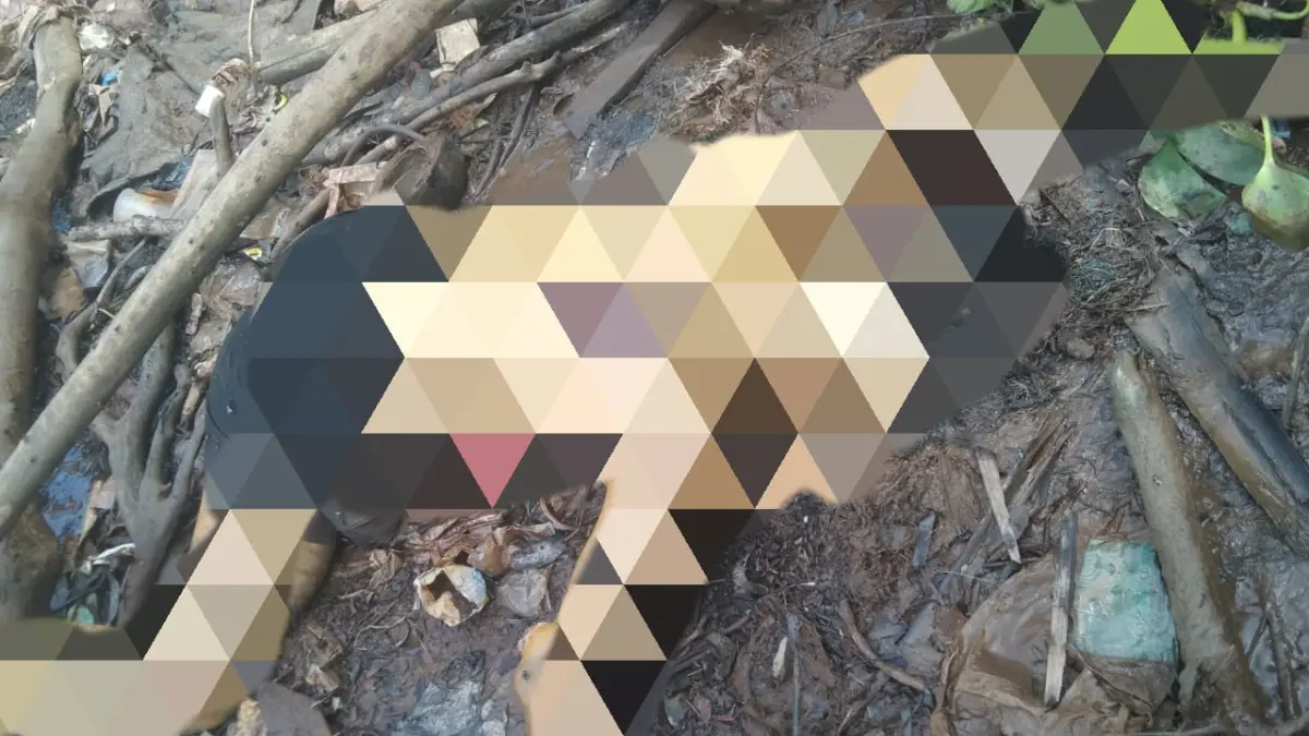 Warga Mentaya Seberang, Kabupaten Kotawaringin Timur, digegerkan dengan penemuan sesosok mayat di bantaran Sungai Pipisan, tepatnya di wilayah RT 9, Selasa (31/3/2026).