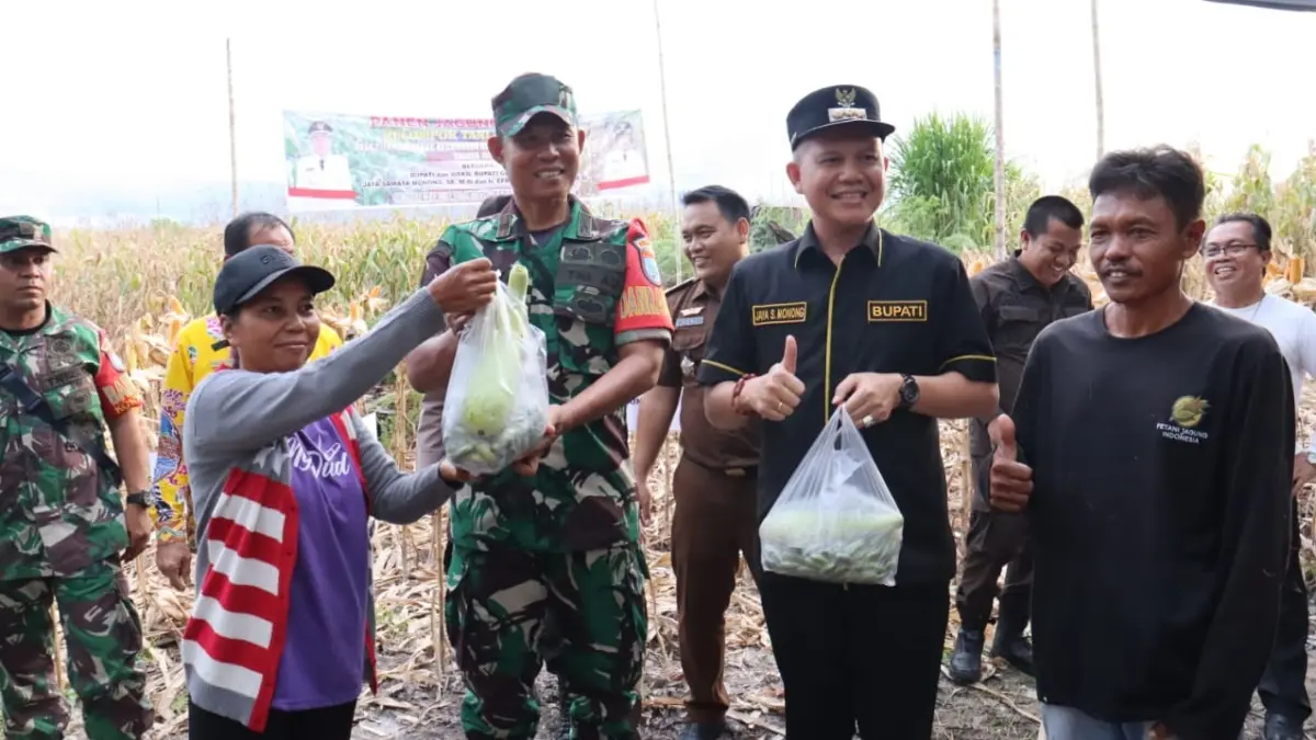 Bupati Gumas Jaya Samaya Monong panen jagung hibrida pada lahan milik Poktan Bina Karya Desa Pilang Munduk, Kecamatan Kurun, belum lama ini. (foto: diskominfo santik gumas)