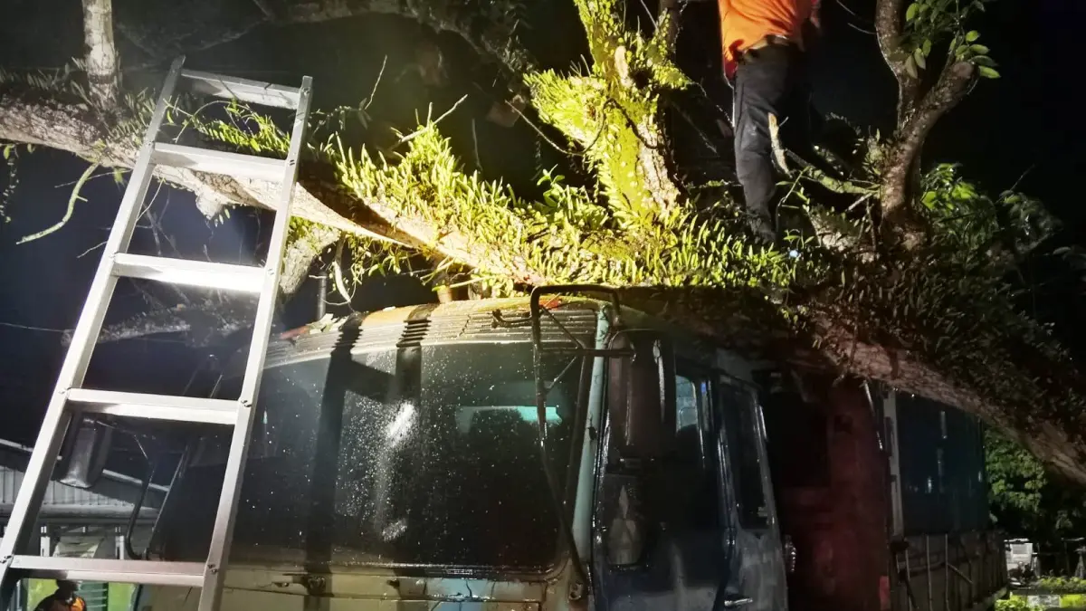 Evakuasi pohon tumbang yang menimpa  sebuah truk kontainer di Jalan Malijo, Kelurahan Madurejo, Kecamatan Arut Selatan, Pangkalan Bun.(istimewa/BPBD Kobar)
