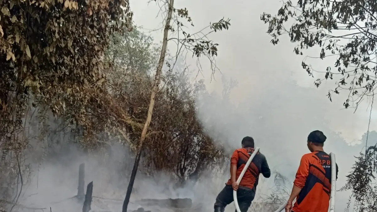 Penanganan karhutla oleh tim BPBD Kotim beberapa belum lama tadi.(ist/BPBD Kotim)
