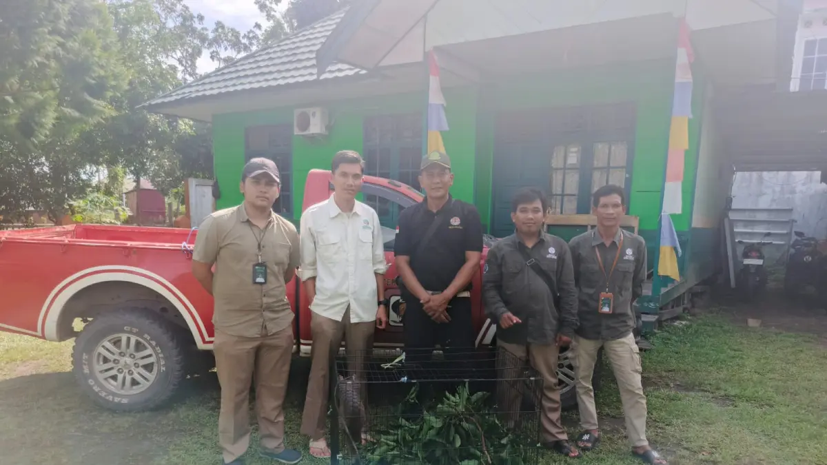 BKSDA resort Sampit saat mengamankan Tenggiling dari Seruyan