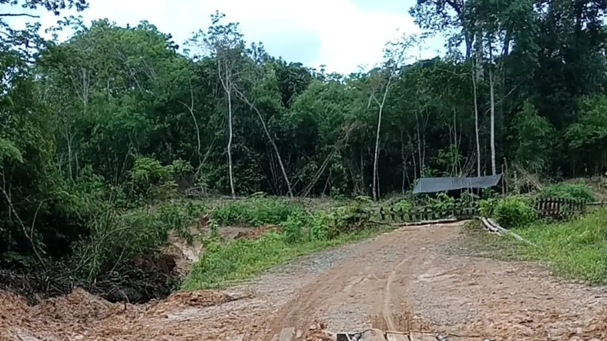 Salah satu jembatan yang menghubungkan Kelurahan Tumbang Miri menuju Tumbang Napoi di Kabupaten Gunung Mas yang mengalami kerusakan parah, Selasa (7/4). (ist)