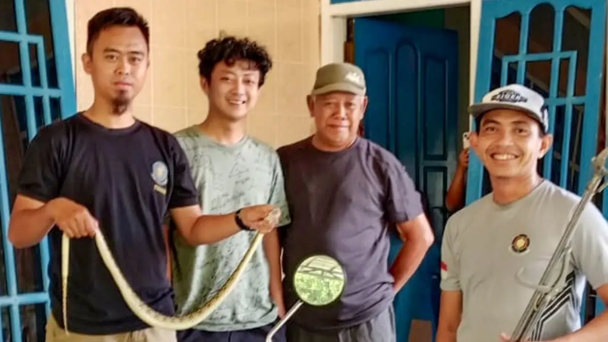 TIM RESCUE: Petugas Damkar Pos Hanau mengevakuasi ular sawa atau sanca sepanjang 1 meter di kawasan permukiman warga Desa Pembuang Hulu I, Jumat (10/4/2026). FOTO: IST/RADAR SAMPIT