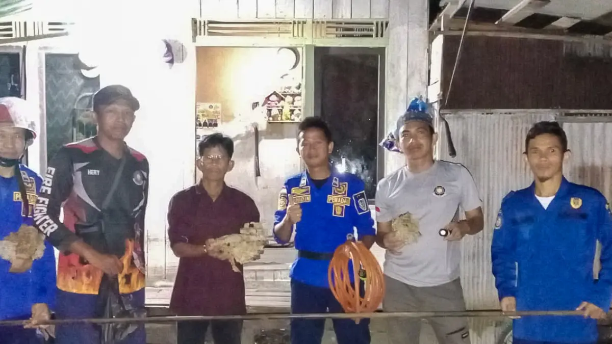 Sarang tawon vespa berukuran besar yang sempat meresahkan berhasil dimusnahkan oleh tim pemadam kebakaran pada Sabtu malam (11/4/2026). (Damkar/Radar Sampit)