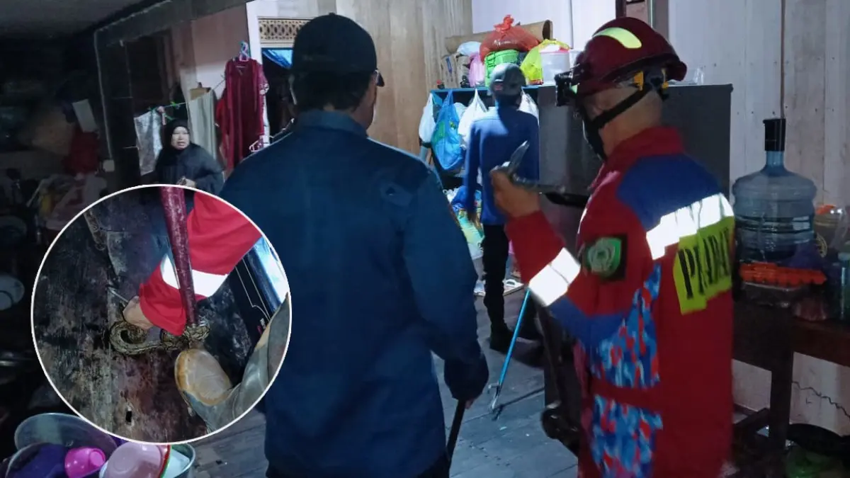 Petugas DIsdamkarmat Kotim mencari ular yang masuk dapur warga di Jalan Wengga Jaya Agung, Kelurahan Baamang Barat, Kecamatan Baamang, Kamis (16/4/2026). (Disdamkarmat Kotim)